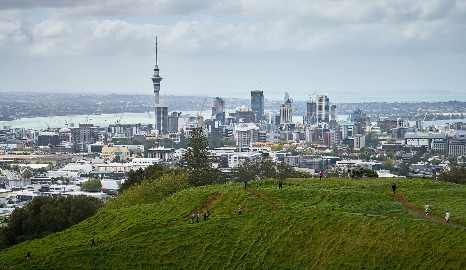 Auckland’s Sky Tower over the Waitematā Harbour